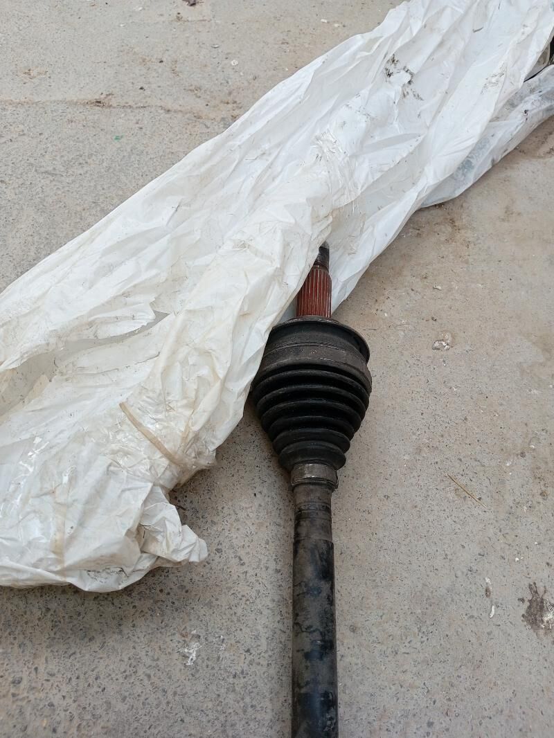 Okuz kelle granat 500 TMT - Ýalkym - img 2