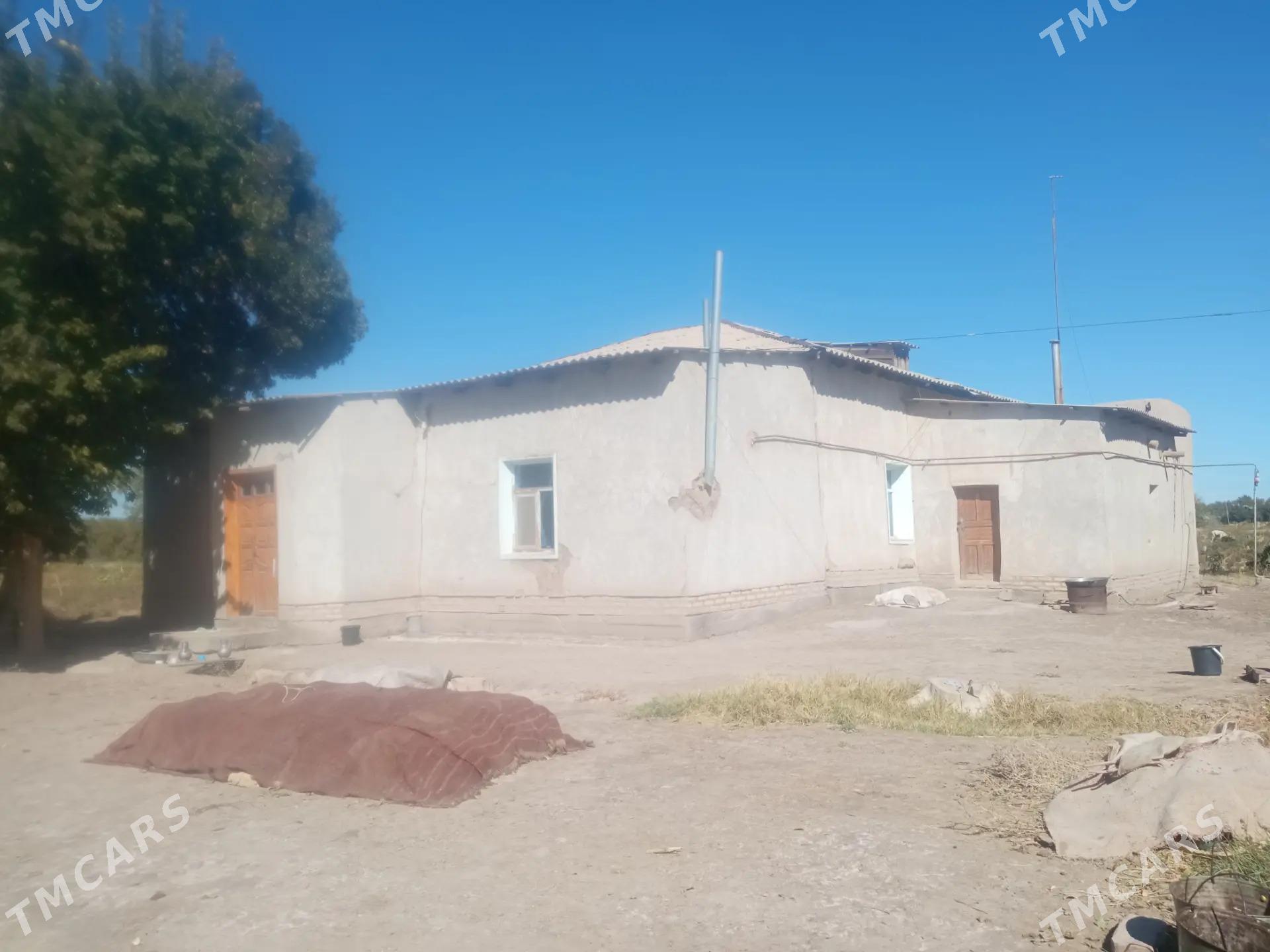 jay. satlyar - Кёнеургенч - img 3