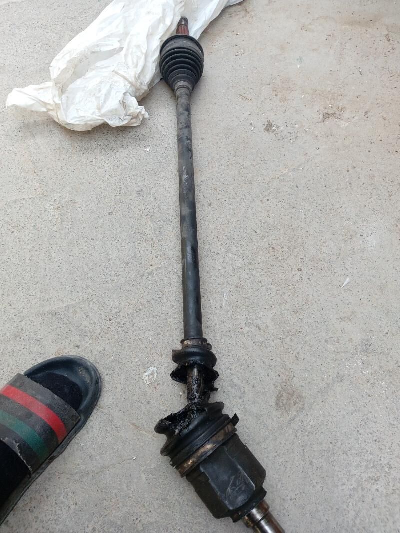 Okuz kelle granat 500 TMT - Ýalkym - img 1