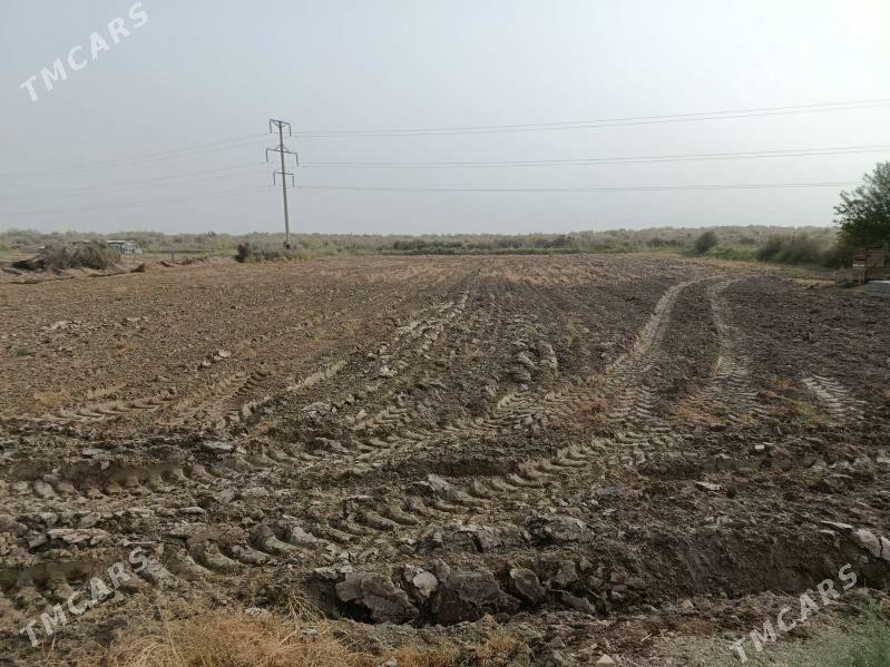 Satlyk Jay - Чарджоу - img 8