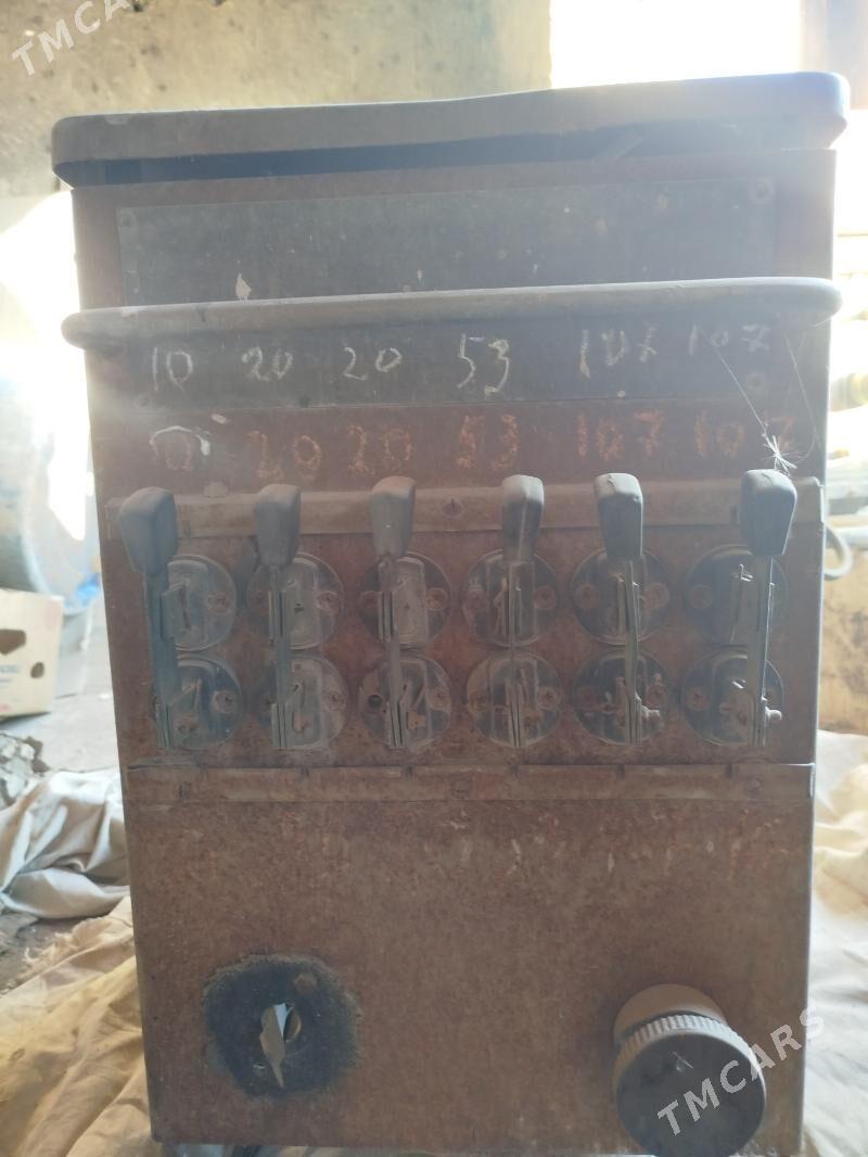 Баласник - Гурбансолтан Едже - img 2