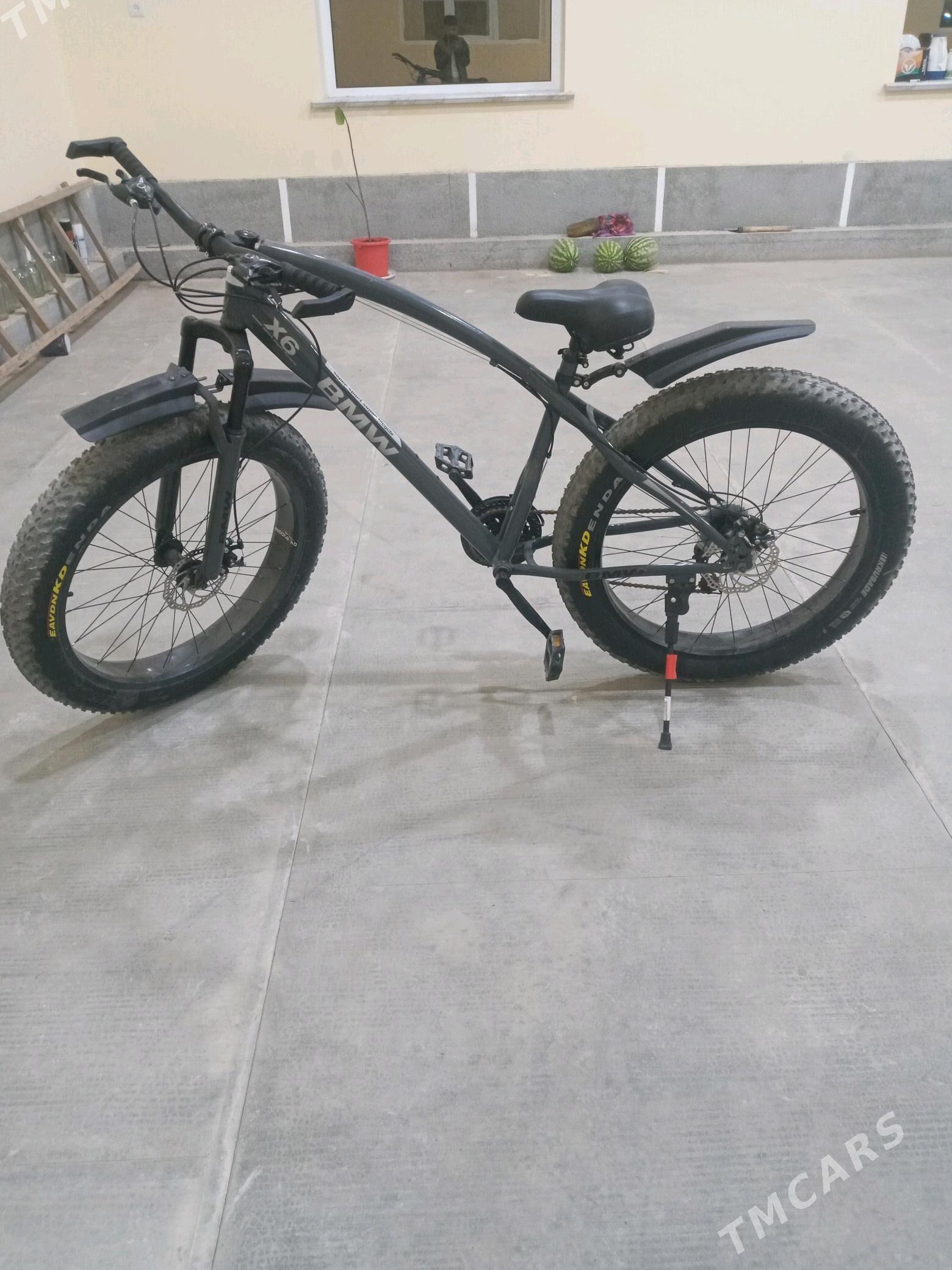 spor bickle - Dänew - img 2