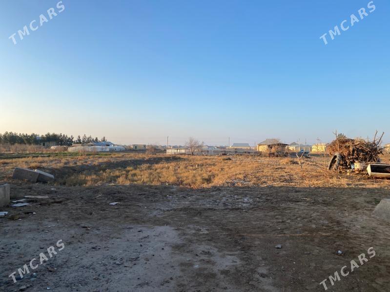 satlyk jay - Мургап - img 2