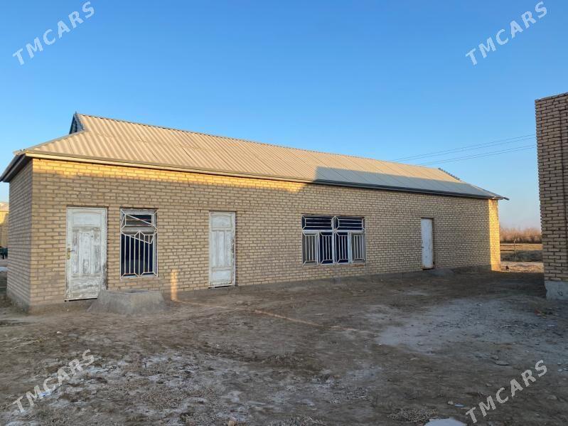 satlyk jay - Мургап - img 3