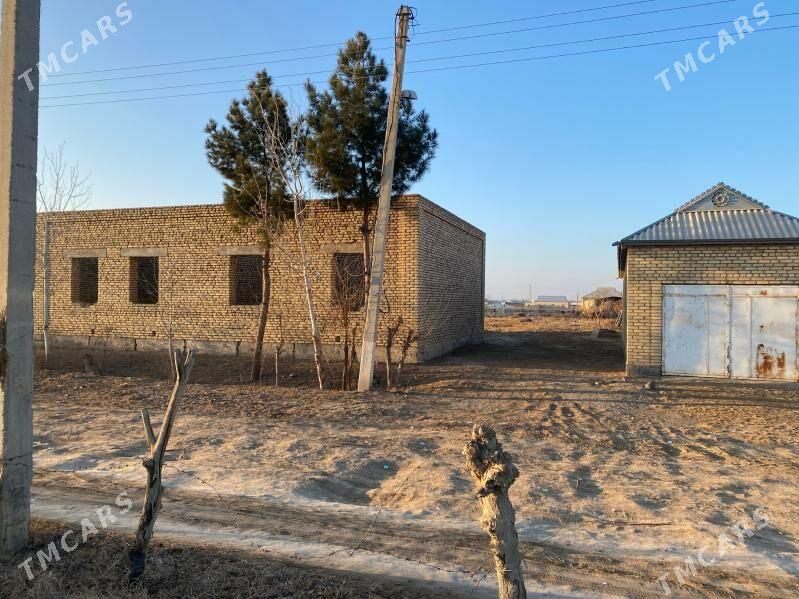 satlyk jay - Мургап - img 4