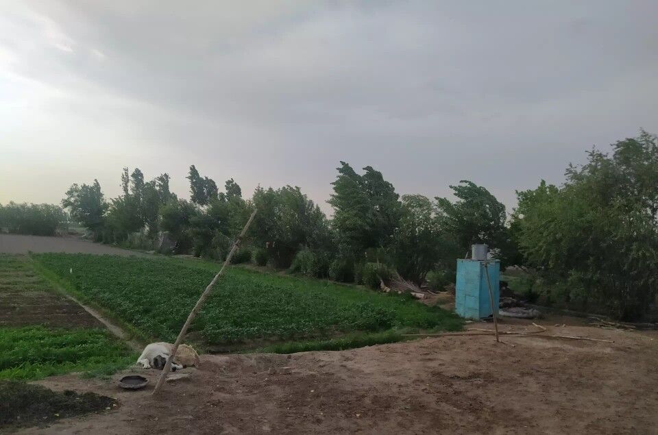 satlyk jay - Губадаг - img 2