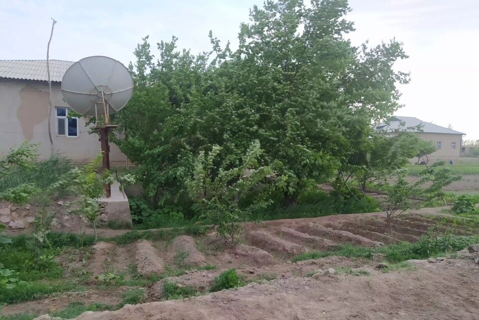 satlyk jay - Губадаг - img 3