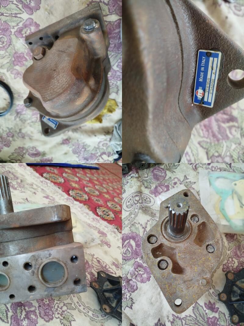 Cat Catrapiller - Gurbansoltan Eje - img 3