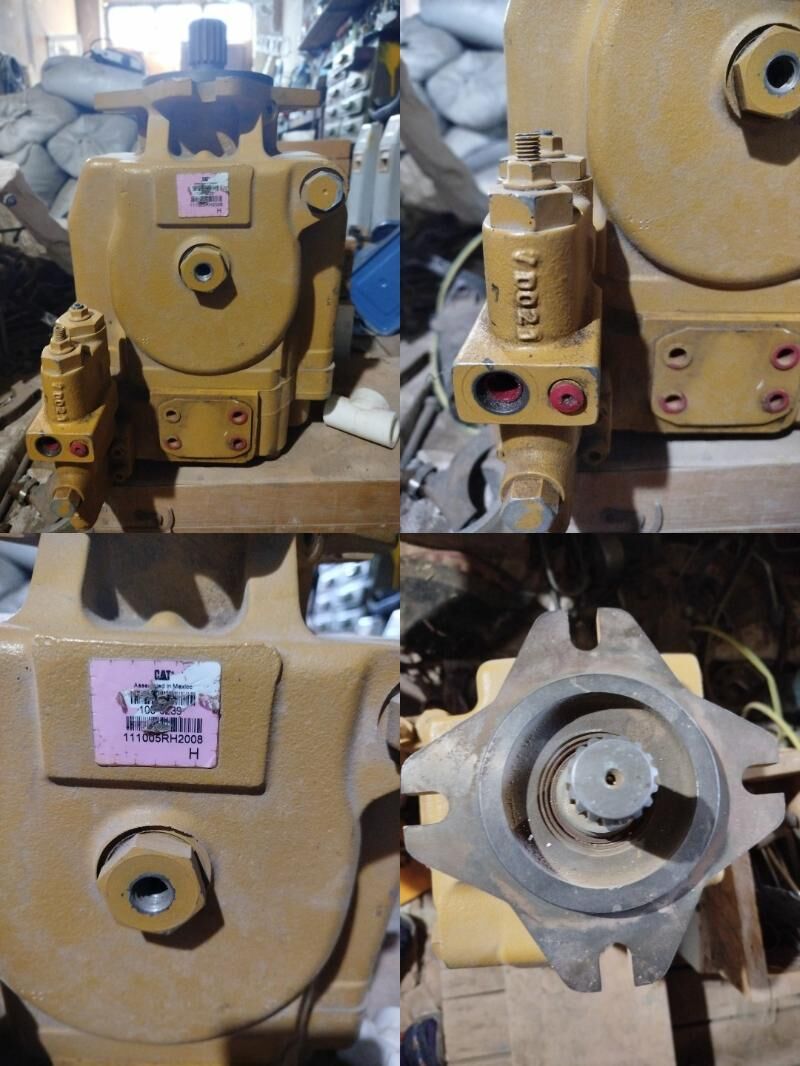 Cat Catrapiller - Gurbansoltan Eje - img 5