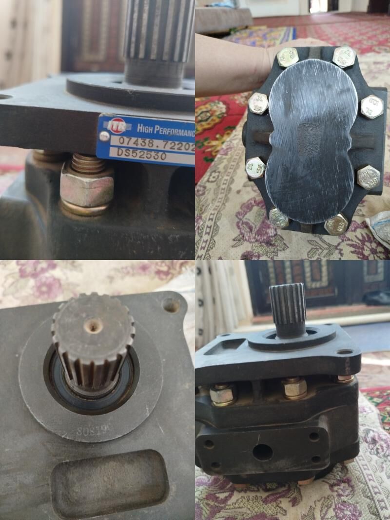 Cat Catrapiller - Gurbansoltan Eje - img 2