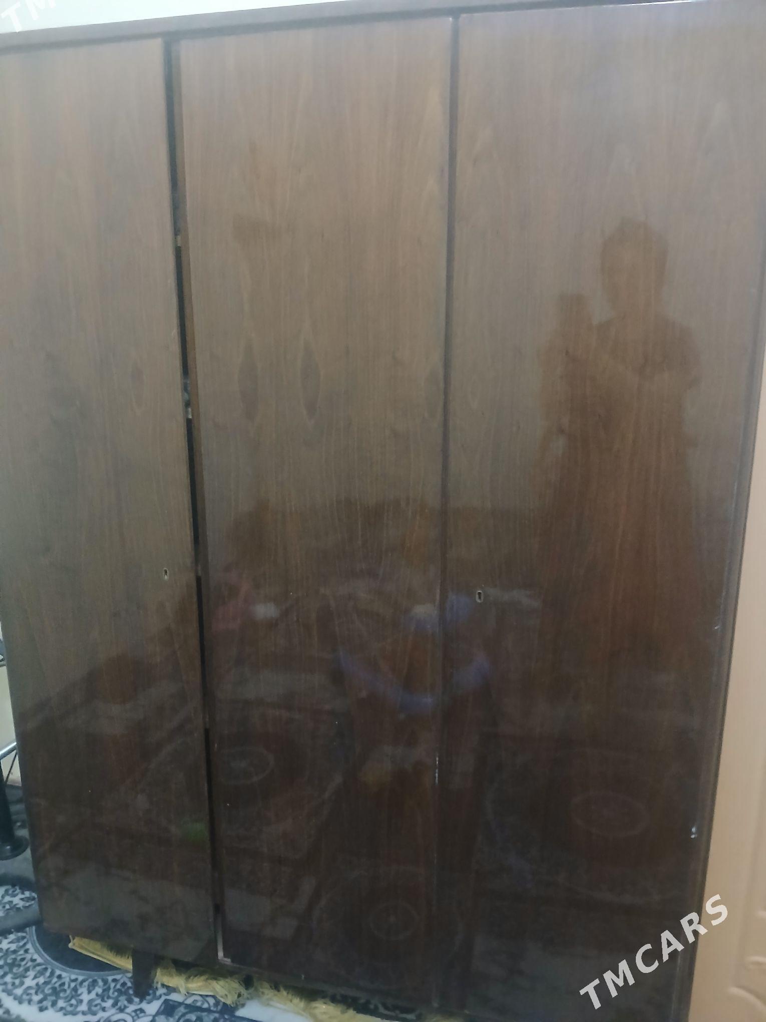 skaf - Daşoguz - img 2