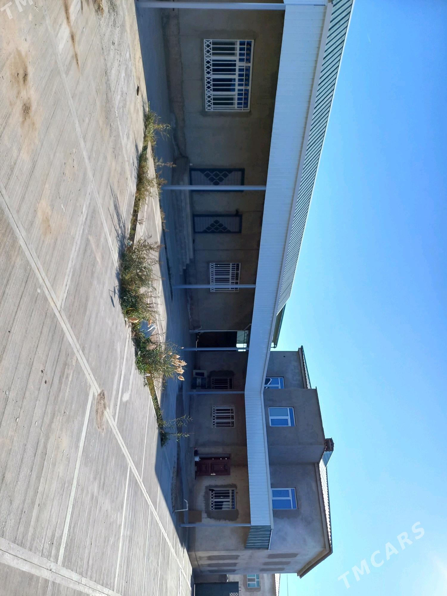 SATLYK KATEJ - Tejen - img 4