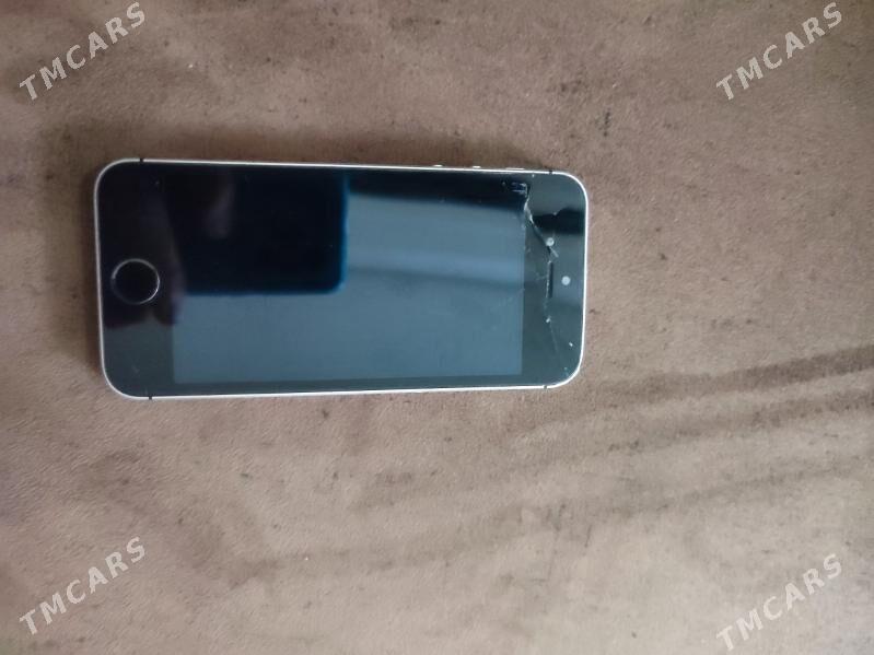 iPhone 5s - Daşoguz - img 1