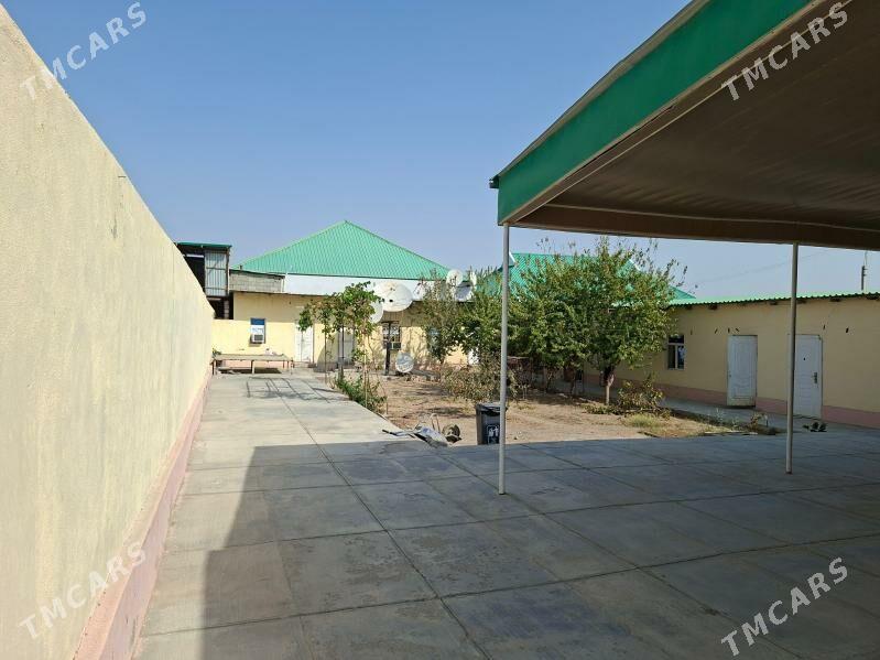 plan jaý - Ak bugdaý etraby - img 5