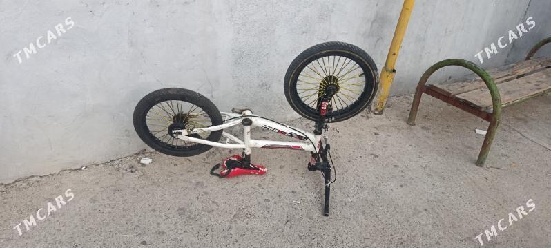 çağa tigir - Aşgabat - img 1