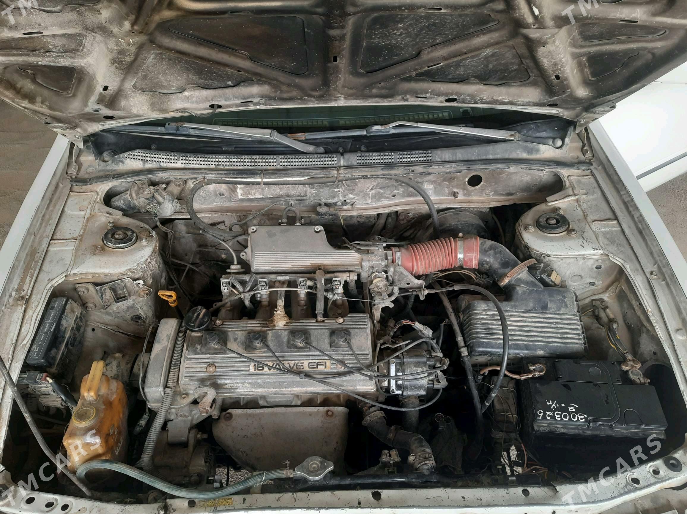 Nissan Sunny 1996 - 30 000 TMT - Magdanly - img 5