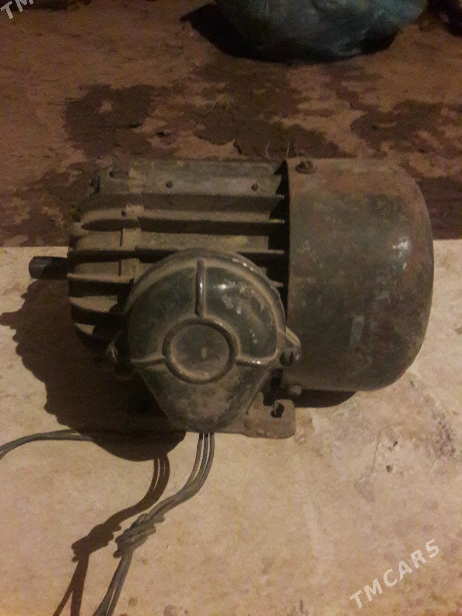 Elektramator - Гороглы (Тагта) - img 1