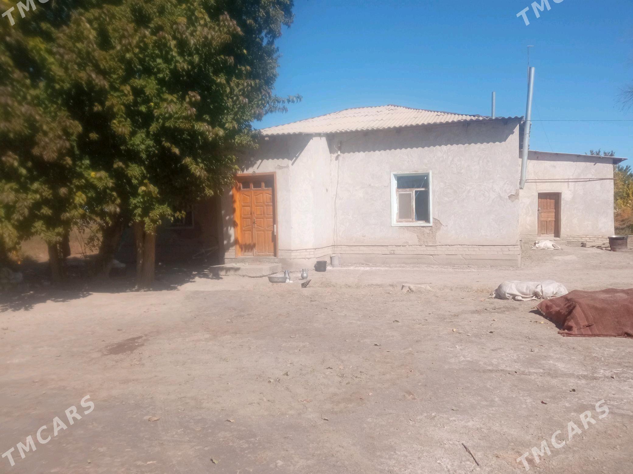 сатдык жай - Кёнеургенч - img 2