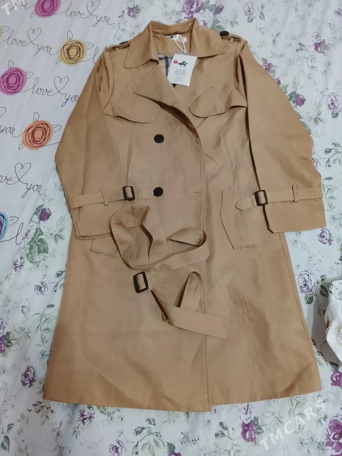 plash - Daşoguz - img 1