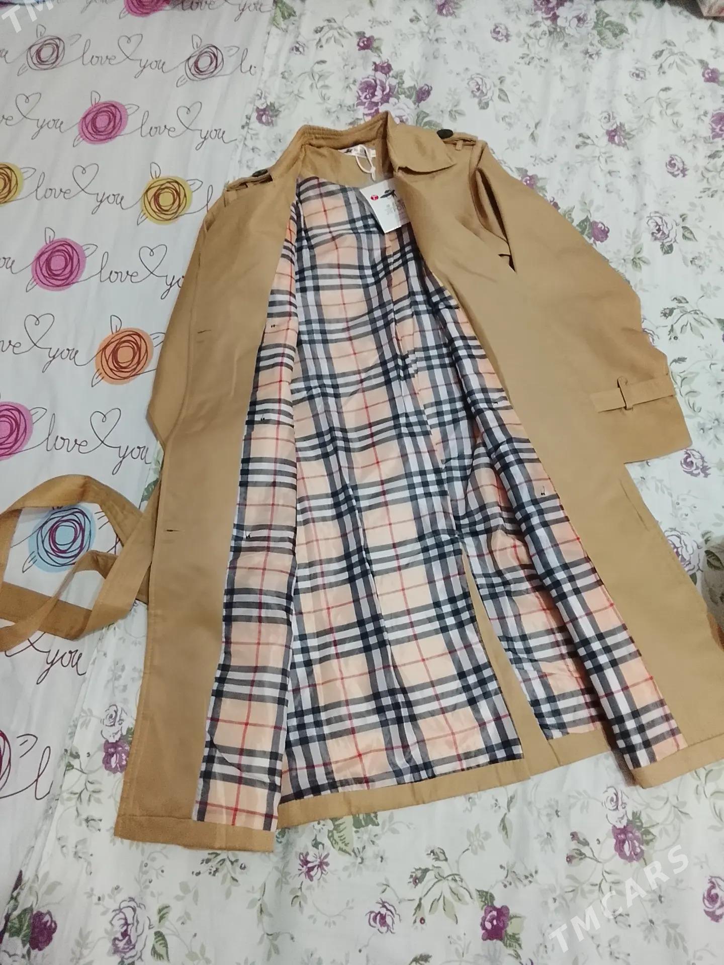 plash - Daşoguz - img 5