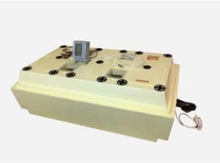 INKUBATOR ZOLUSKA (Золушка) - Daşoguz - img 2