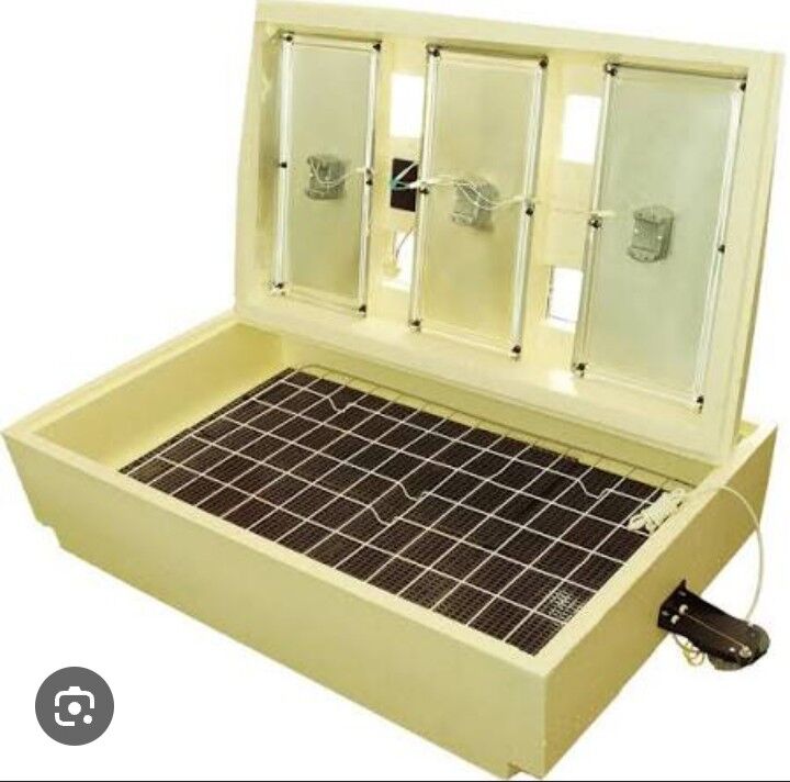 INKUBATOR ZOLUSKA (Золушка) - Daşoguz - img 3