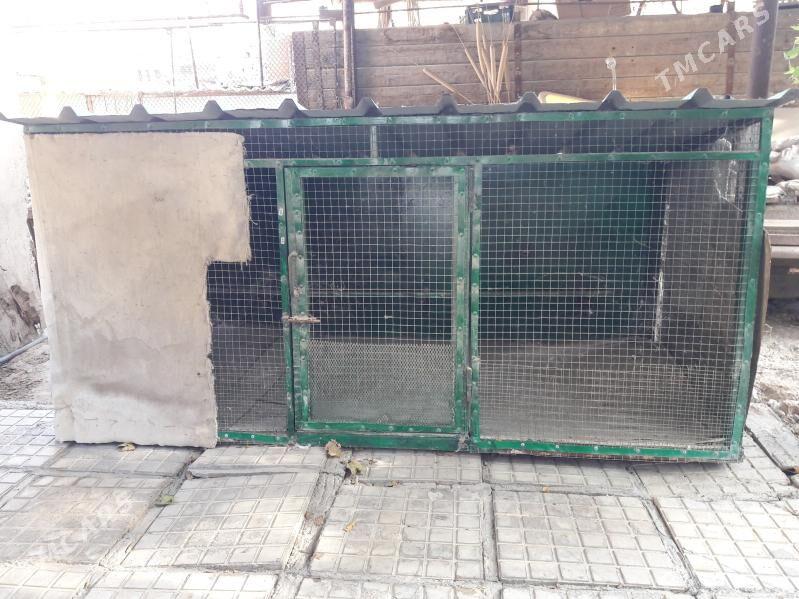 КЛЕТКА ДЛЯ КУР - Бузмеин ГРЭС - img 3