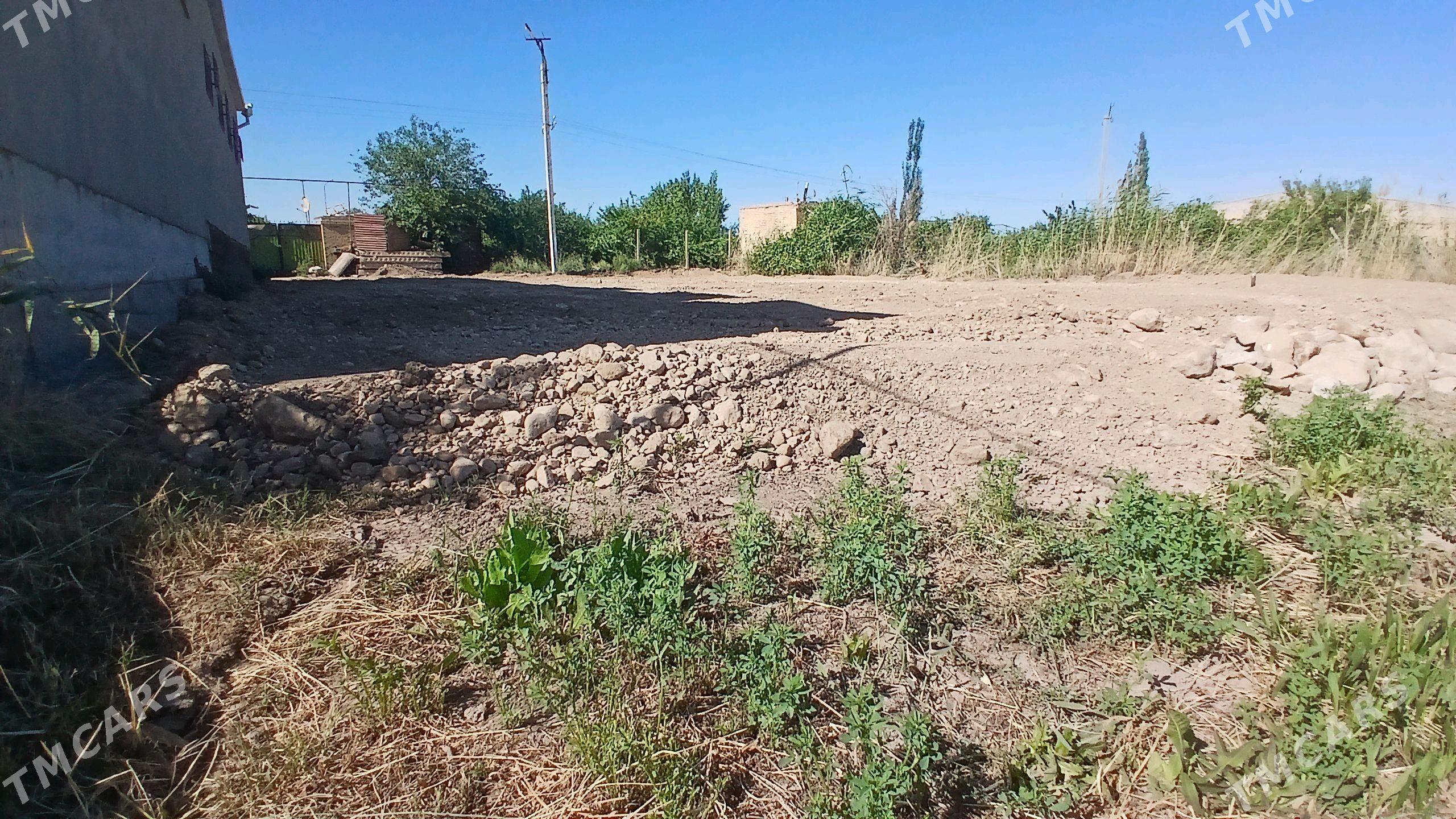 Berzenkanal daca - Türkmenabat - img 7