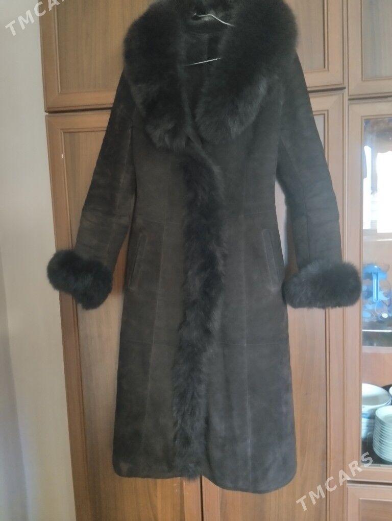 palto - Görogly (Tagta) - img 1