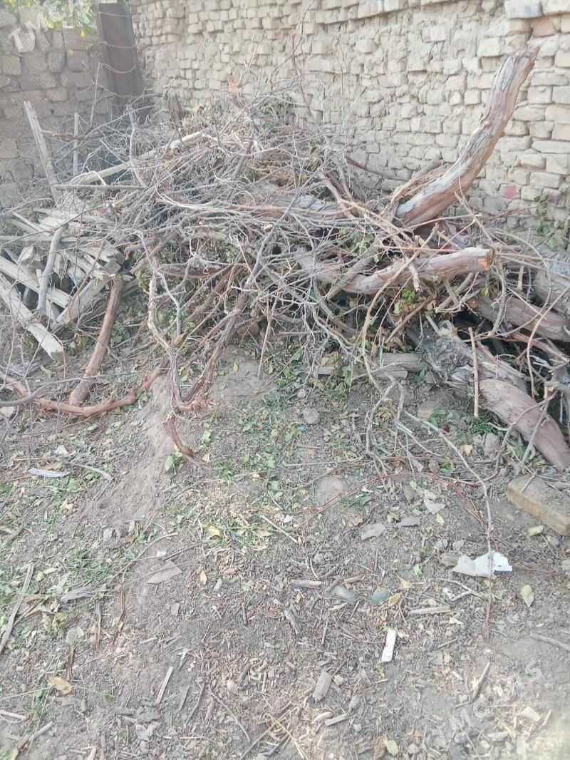 Töňňe, odunlyk - Köşi - img 6