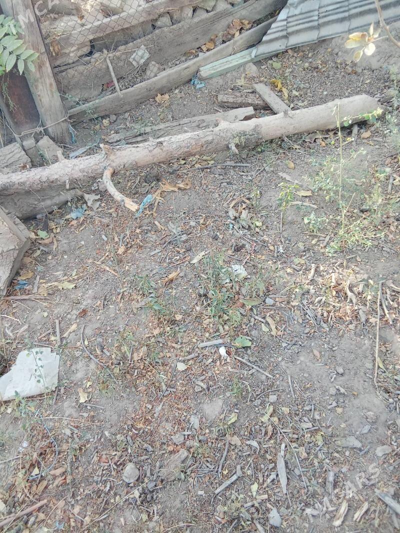 Töňňe, odunlyk - Köşi - img 5