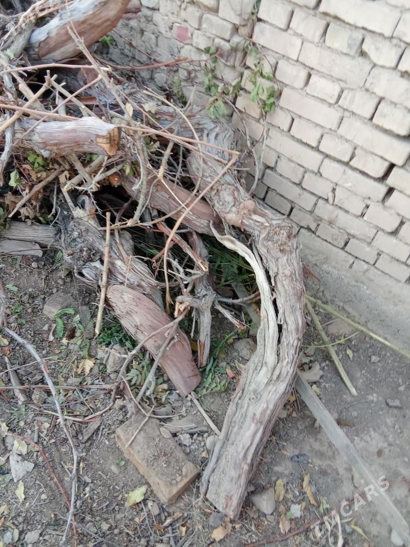 Töňňe, odunlyk - Köşi - img 3