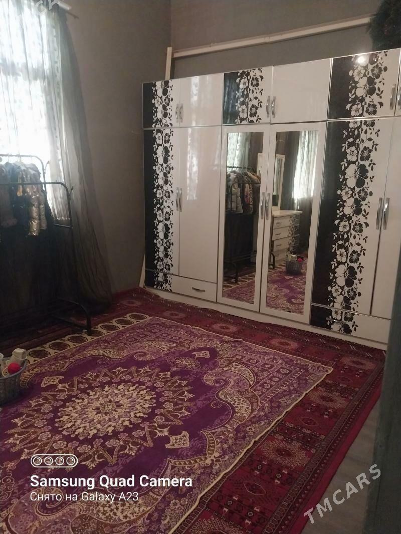 Baherden jay - Bäherden - img 7