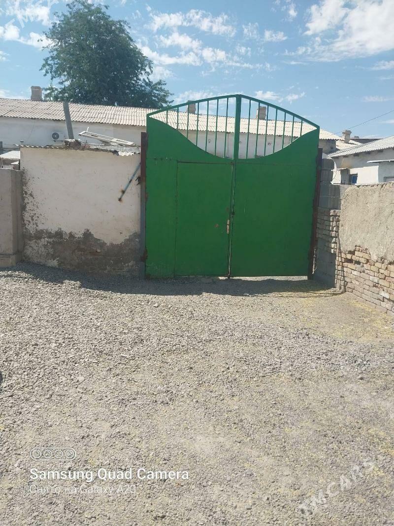 Baherden jay - Bäherden - img 5