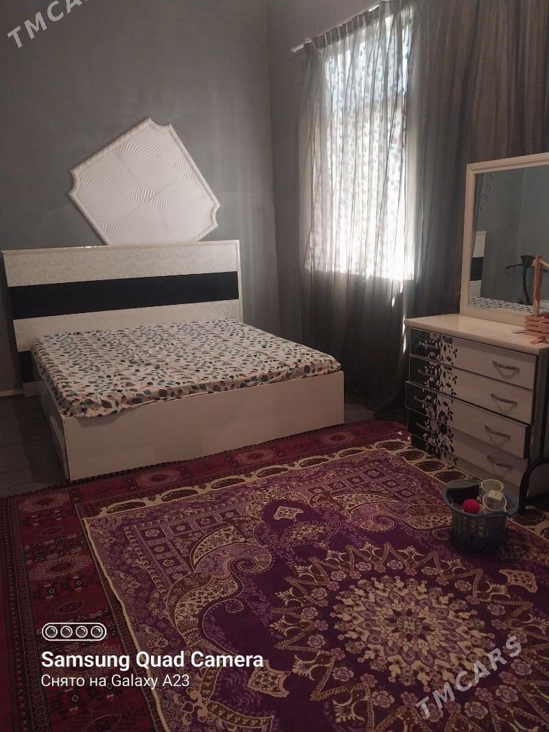 Baherden jay - Bäherden - img 2