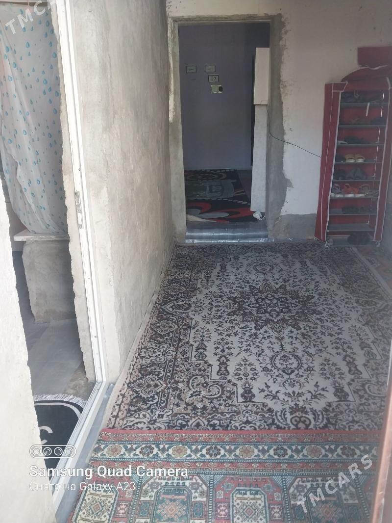 Baherden jay - Bäherden - img 6