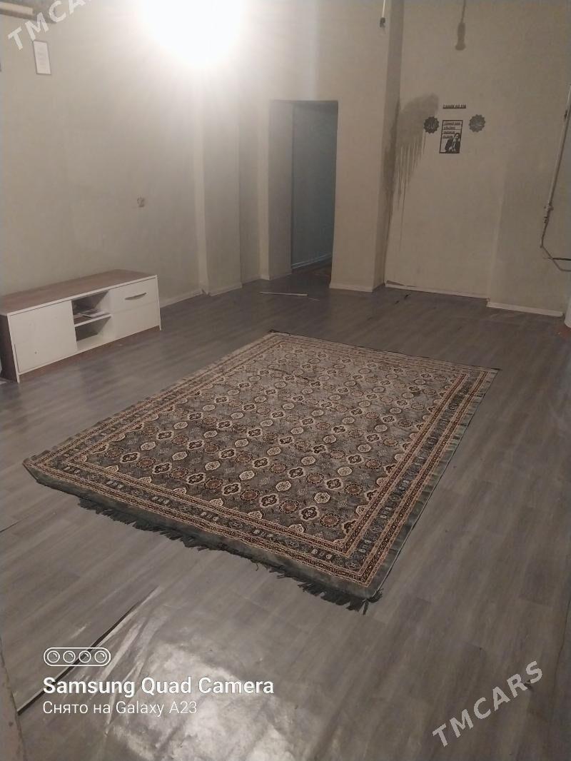 Baherden jay - Bäherden - img 8