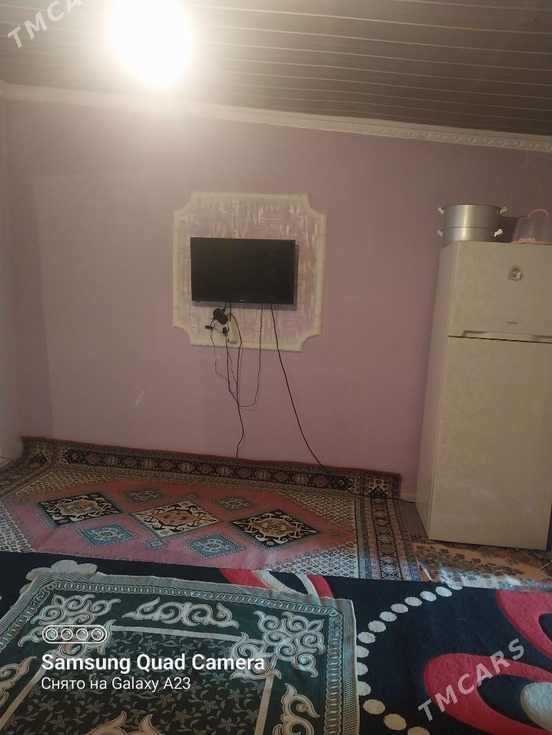 Baherden jay - Bäherden - img 4