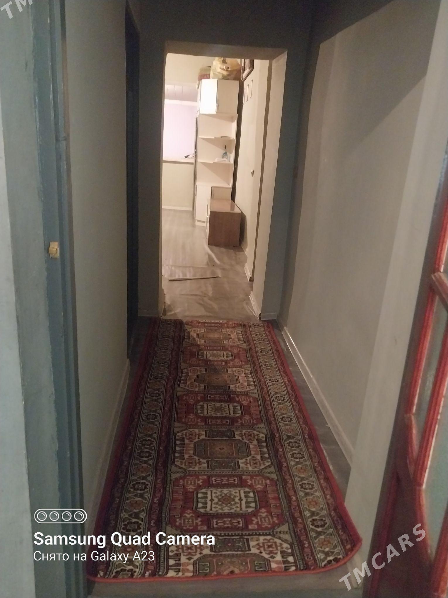 Baherden jay - Bäherden - img 9