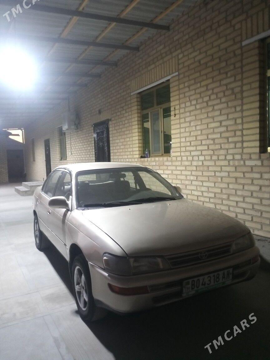 Toyota Corolla 1993 - 57 000 TMT - Sarahs - img 2