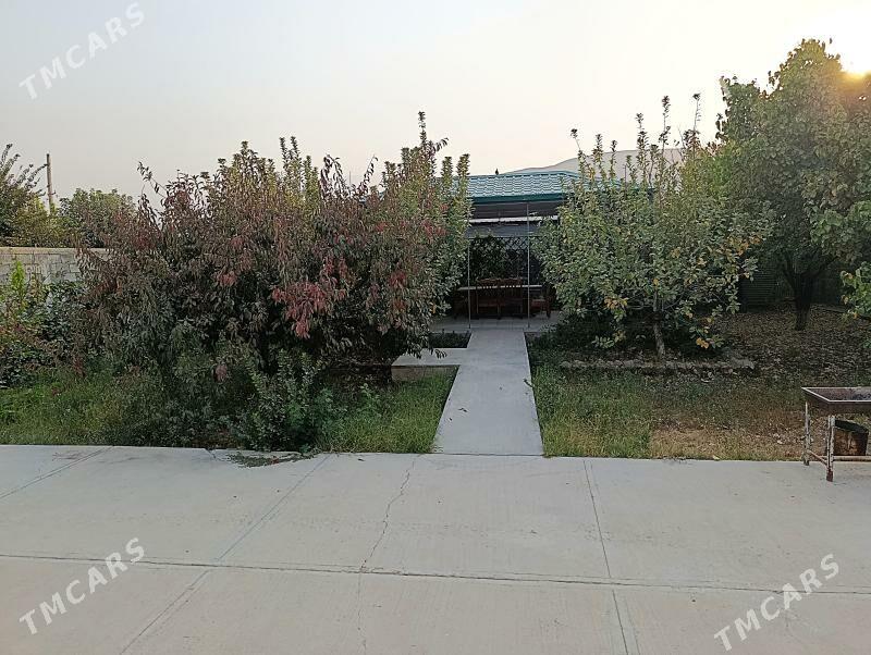 Plan jaý Hurmont Gökje - Гёкдепе - img 8