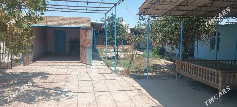 Ýaşlyk Parahat oba - Ýaşlyk - img 1