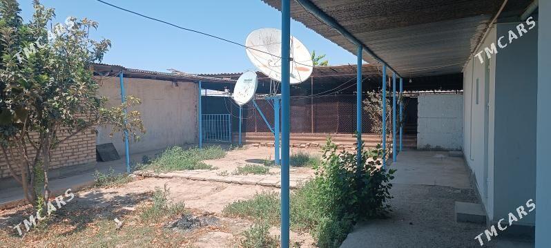 Ýaşlyk Parahat oba - Ýaşlyk - img 2