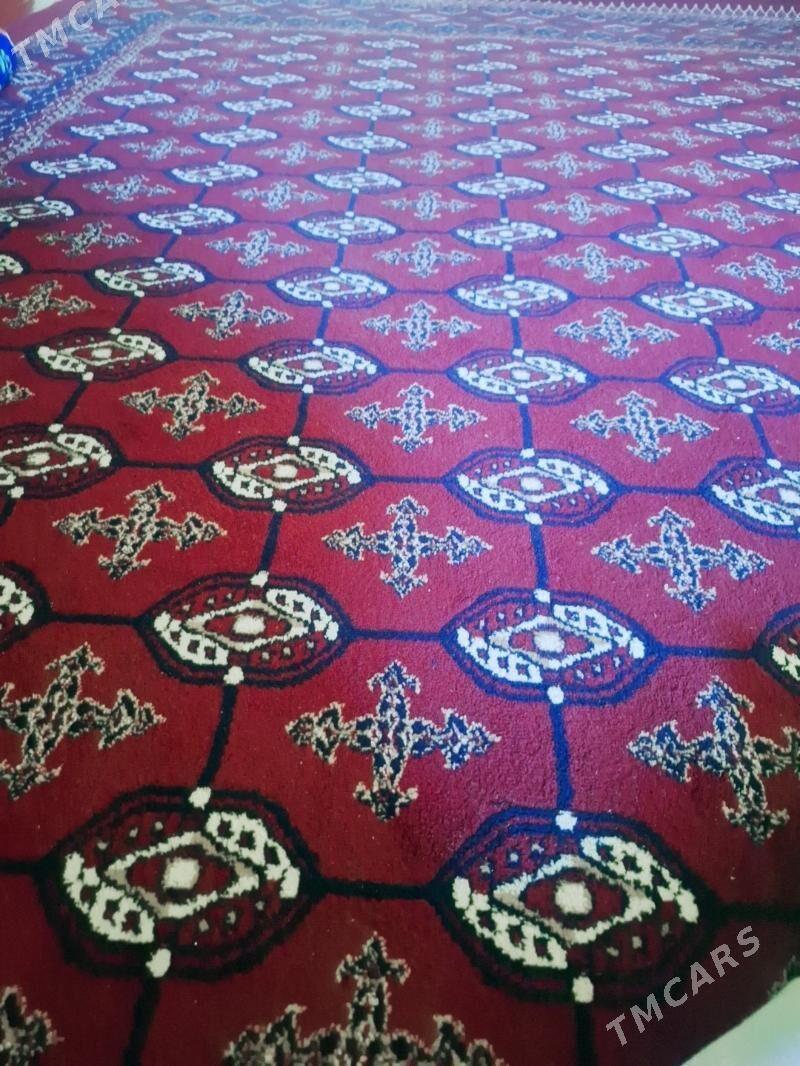 haly - Daşoguz - img 2