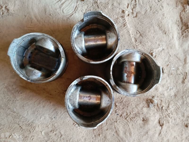 porshyn 500 TMT - Daşoguz - img 2