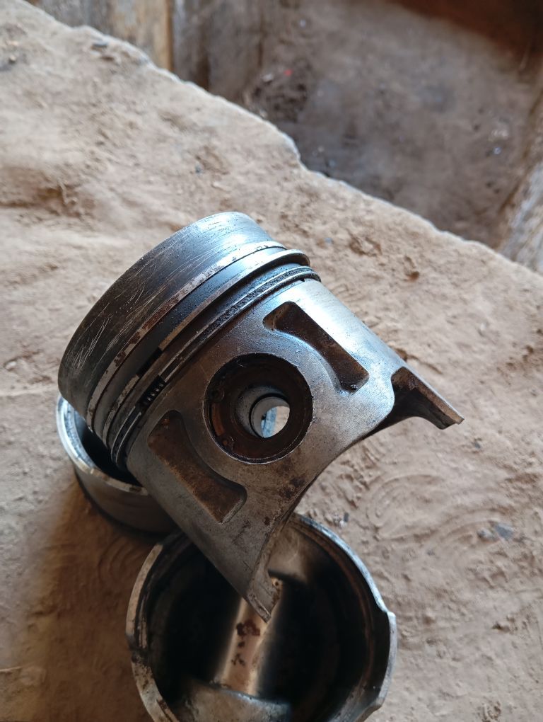 porshyn 500 TMT - Daşoguz - img 3