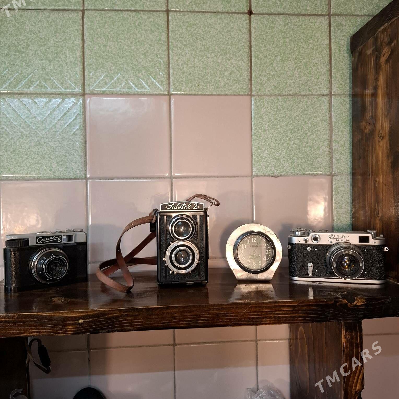 antikwariat - Mary - img 3