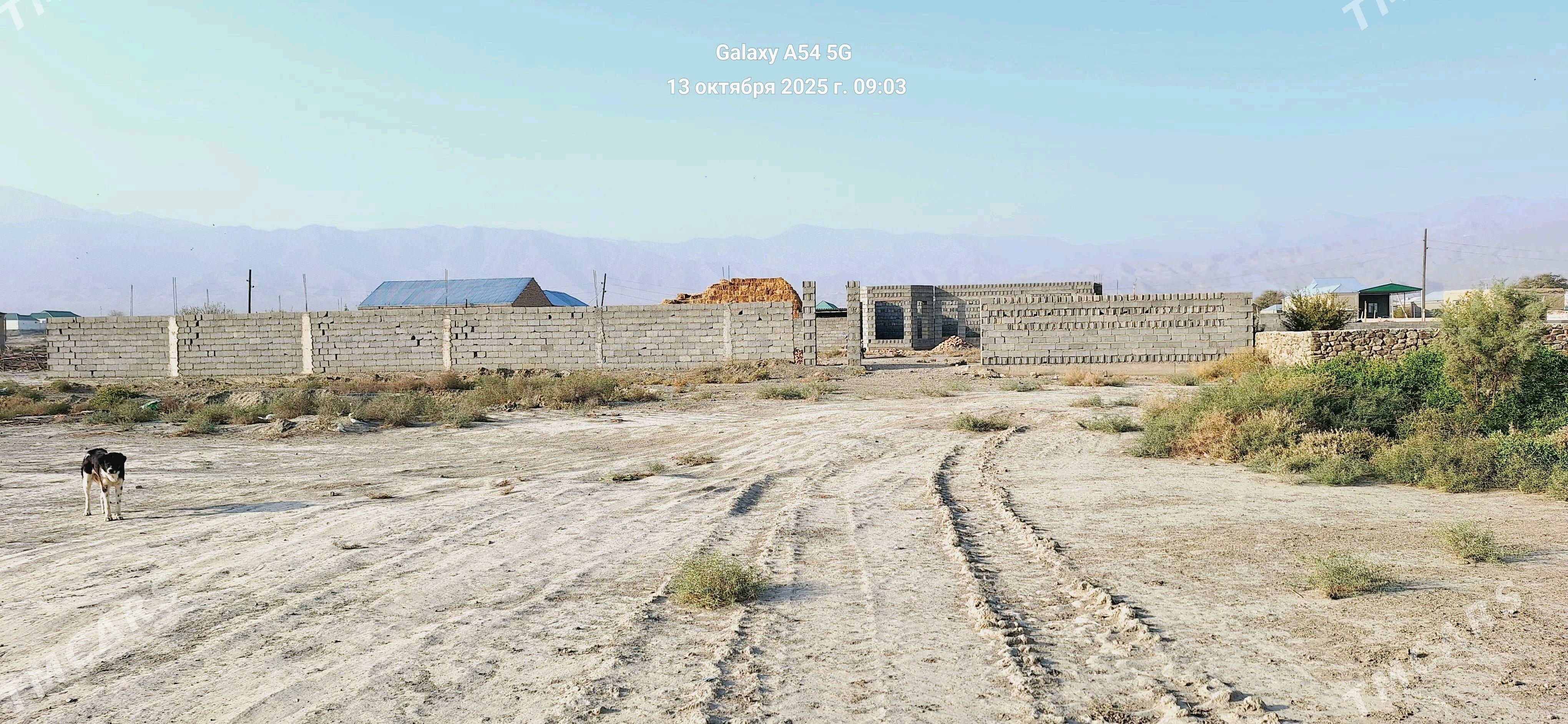 satlyk jaÿ - Бахарден - img 1