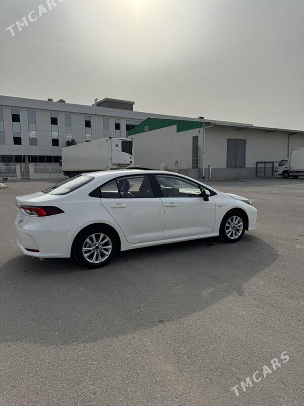 Toyota Corolla 2025 - 375 000 TMT - Ашхабад - img 2