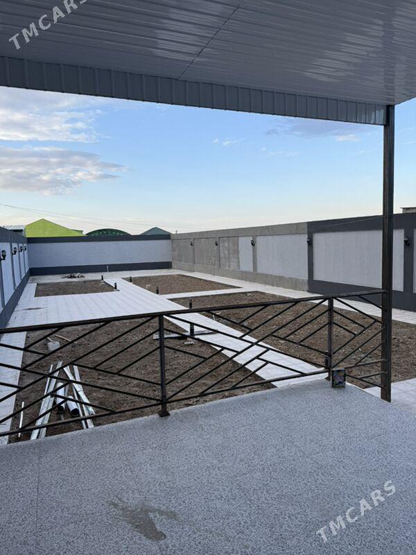 Coganly kotej - Çoganly - img 2